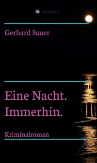 Eine Nacht. Immerhin. - Gerhard Sauer - ebook