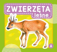 Zwierzęta leśne - Wydawnictwo Skrzat - książka