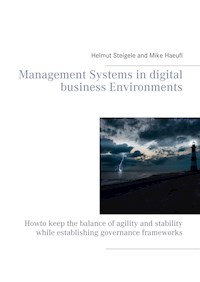 Management Systems in digital business Environments - Helmut Steigele - ebook
