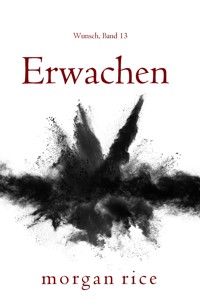 Erwachen (Wunsch, Band 13) - Rice Morgan - ebook