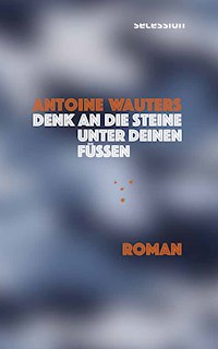 Denk an die Steine unter Deinen Füssen - Antoine Wauters - ebook