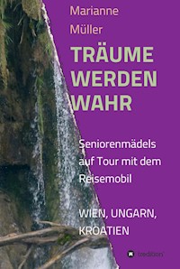 Träume werden wahr - Marianne Müller - ebook