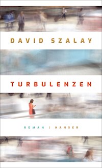 Turbulenzen - David Szalay - ebook