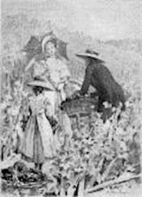 Le Lys dans la vallée - Honore De Balzac - darmowy ebook