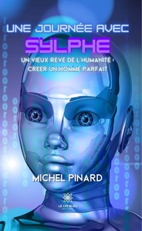 Une journée avec Sylphe - Michel Pinard - ebook