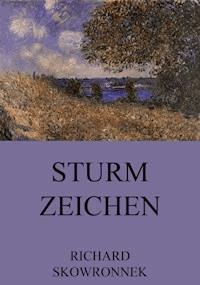 Sturmzeichen - Richard Skowronnek - ebook