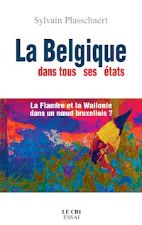 La Belgique dans tous ses états - Sylvain Plasschaert - ebook