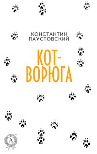 Кот-ворюга - Константин Паустовский - ebook