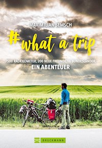 # what a trip - Maximilian Semsch - ebook