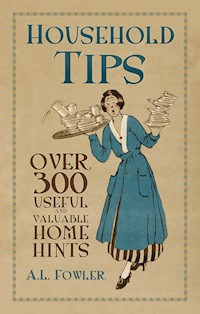 Household Tips - A L Fowler - ebook