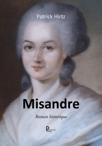 Misandre - Patrick Hirtz - ebook