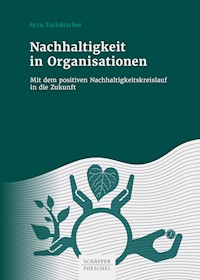 Nachhaltigkeit in Organisationen - Arzu Tschütscher - ebook