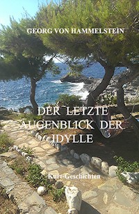 Der letzte Augenblick der Idylle - Georg von Hammelstein - ebook