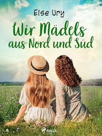 Wir Mädels aus Nord und Süd - Else Ury - ebook