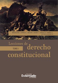 Lecciones de derecho constitucional - Paola Andrea Acosta Alvarado - ebook
