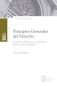 Principios generales del Derecho - Enrique Alcalde R. - ebook