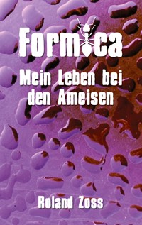 Formica - Roland Zoss - ebook