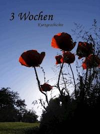 Drei Wochen - Simone Zenker - ebook