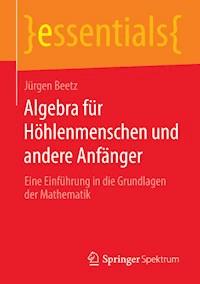 Algebra für Höhlenmenschen und andere Anfänger - Jürgen Beetz - ebook