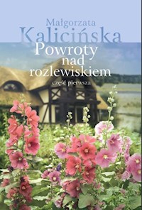 Powroty nad rozlewiskiem Część 1 - Małgorzata Kalicińska,  - książka