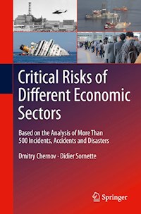 Critical  Risks of Different Economic Sectors - Dmitry Chernov - ebook