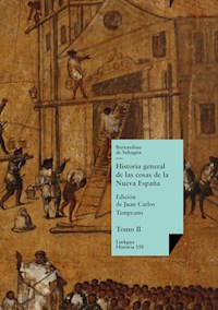 Historia general de las cosas de la Nueva España II - Bernardino de Sahagún - ebook