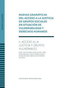 Vol. II - Nuevas gramáticas del acceso a la justicia de grupos sociales en situación de vulnerabilidad y derechos humanos. -  - ebook