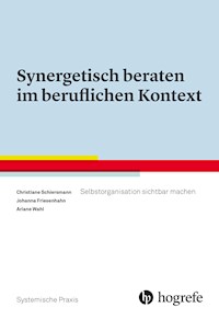 Synergetisch beraten im beruflichen Kontext - Christiane Schiersmann - ebook