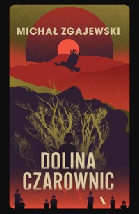 Dolina czarownic - Zgajewski Michał - książka
