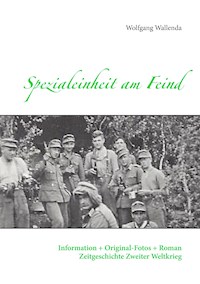 Spezialeinheit am Feind - Wolfgang Wallenda - ebook