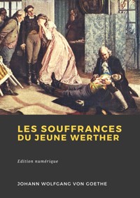 Les Souffrances du jeune Werther - Johann von Goethe - ebook