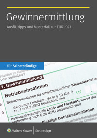 Gewinnermittlung -  - ebook