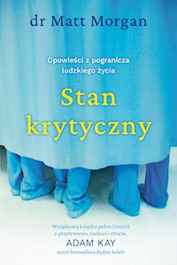 Stan krytyczny - Morgan Matt - ebook