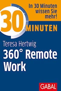 30 Minuten 360° Remote Work - Teresa Hertwig - ebook