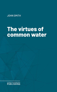 The virtues of common water - John Smith - ebook