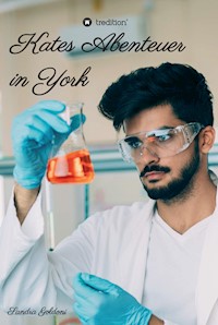 Kates Abenteuer in York - Sandra Goldoni - ebook