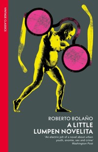 A Little Lumpen Novelita - Bolano Roberto - książka