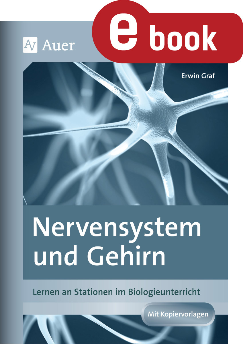 Nervensystem und Gehirn - Erwin Graf - ebook