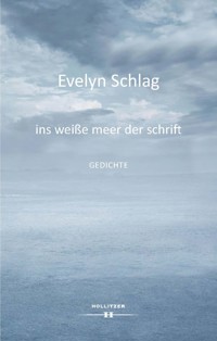 ins weiße meer der schrift - Schlag Evelyn - ebook