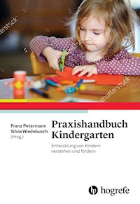 Praxishandbuch Kindergarten -  - ebook