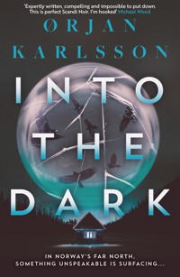 Into The Dark - Ørjan Karlsson - ebook
