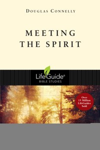 Meeting the Spirit - Douglas Connelly - ebook