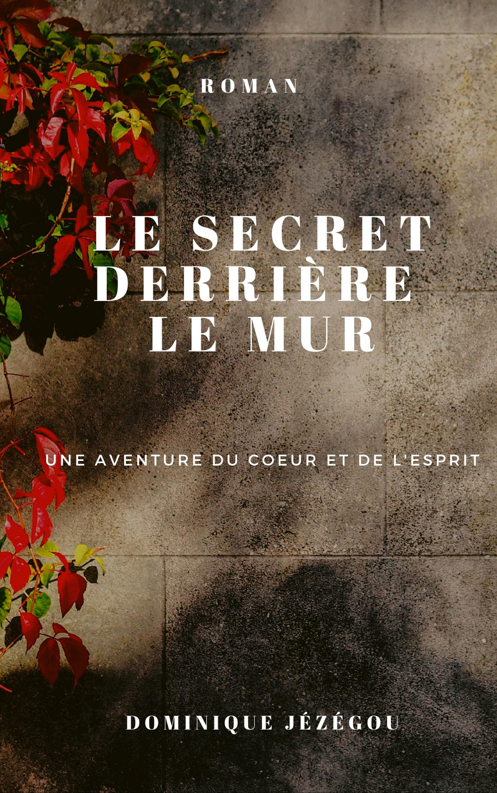 Le secret derrière le mur - Dominique Jézégou - ebook