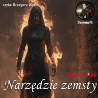 Narzędzie zemsty - Bruno Siak - audiobook