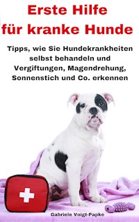 Erste Hilfe für kranke Hunde - Gabriele Voigt-Papke - ebook