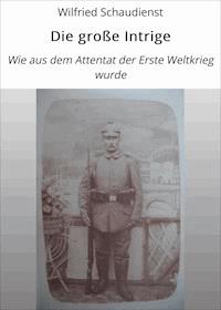 Die große Intrige - Wilfried Schaudienst - ebook