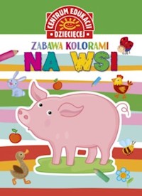 Zabawa kolorami Na wsi -  - książka