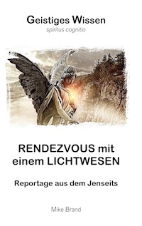 Rendezvous mit einem Lichtwesen - Mike Brand - ebook