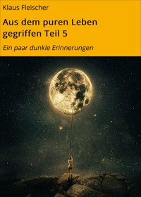 Aus dem puren Leben gegriffen Teil 5 - Klaus Fleischer - ebook