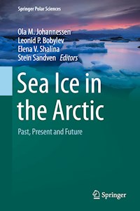 Sea Ice in the Arctic -  - ebook